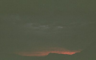 horoscopes for scorpio season (23 oct – 21 nov 2025)