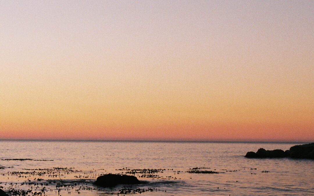 horoscopes for sagittarius season (21 nov – 21 dec 2025)