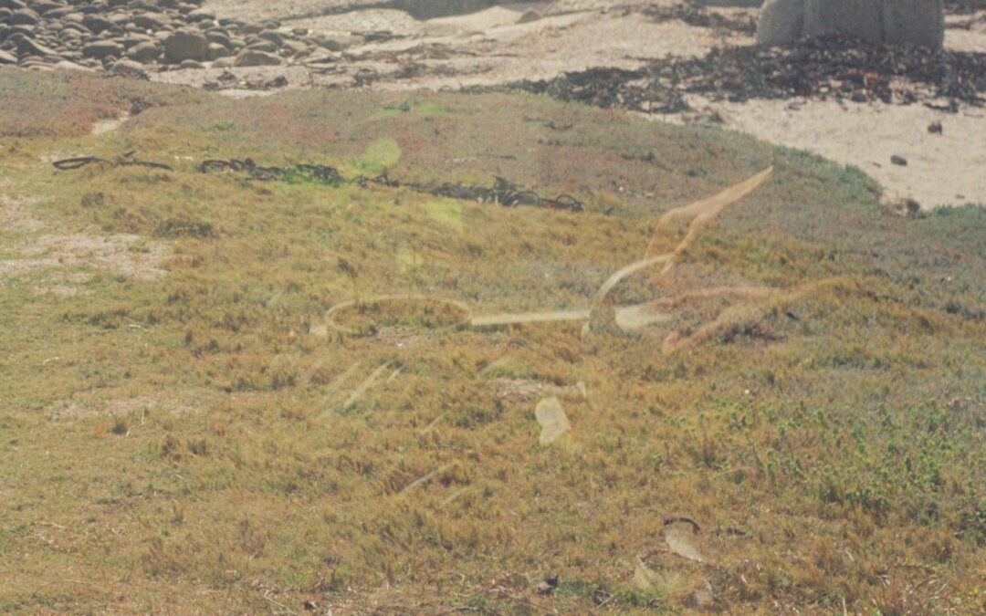 horoscopes for taurus season 2026